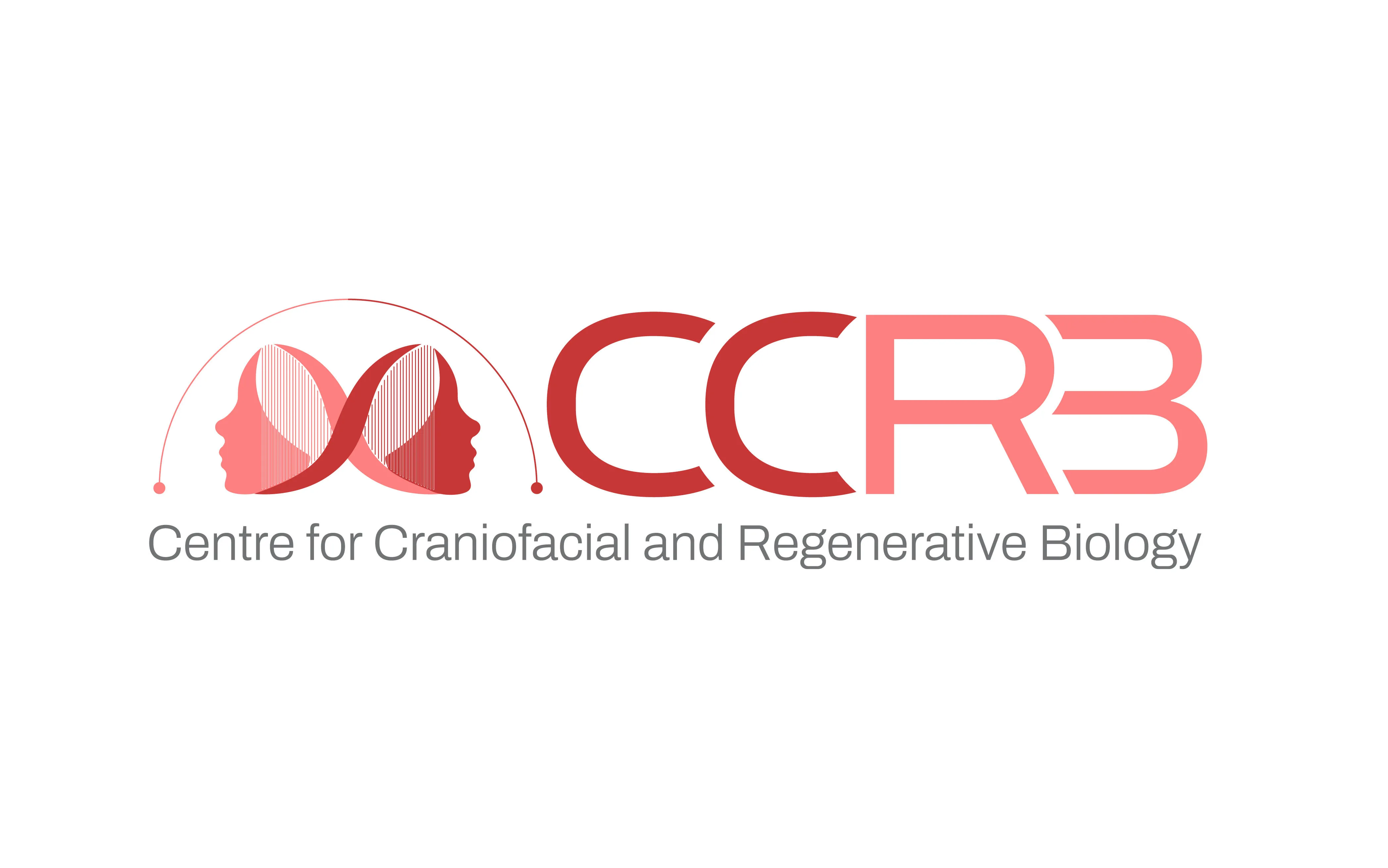 CCRB-01