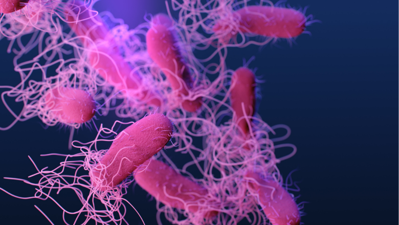 Antimicrobial Research Theme