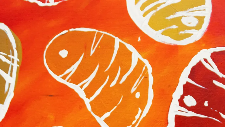Illustration of mitochondria