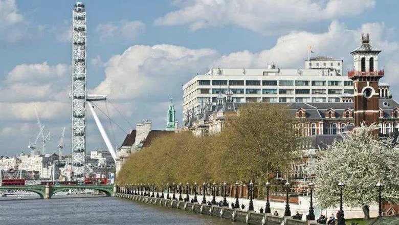 St Thomas' campus from the River Thames