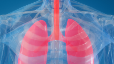 Lung thumbnail