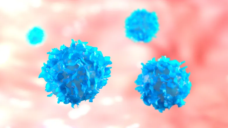 Wu Laboratory T cell thumbnail 780x450