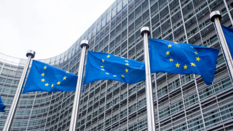 The European Flag