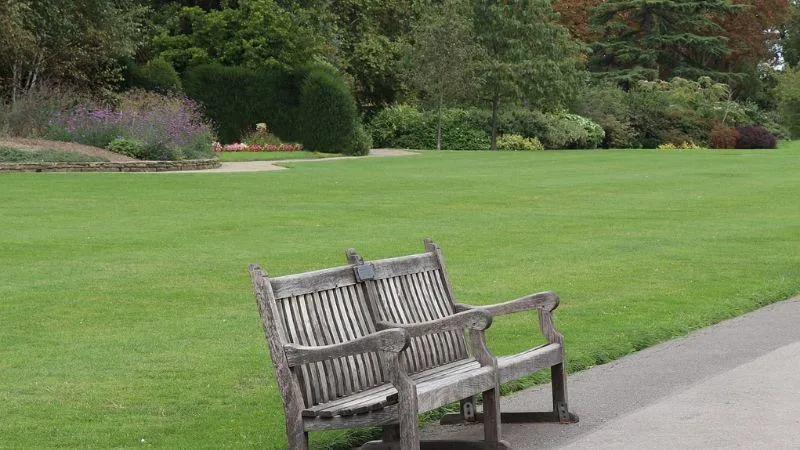 A quiet, well-maintained park with a large open lawn, a wooden bench near a paved pathway, and a backdrop of trees and flowerbeds.
