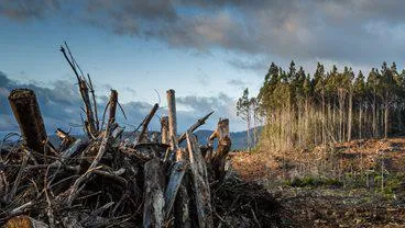 climate-environment-and-uneven-development-research-group