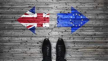 What sort of Brexit do the British people want? (2017)